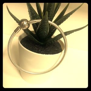 Pandora Bracelet